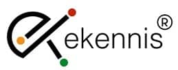 Ekennis Software Service Limited IPO